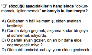 Soru Görseli